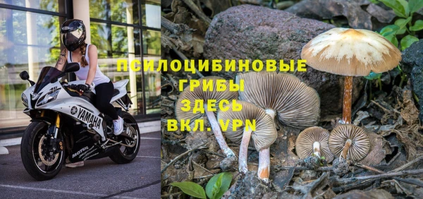 бошки Елизово
