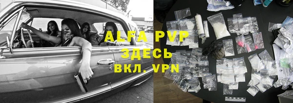 прущие крисы Тында