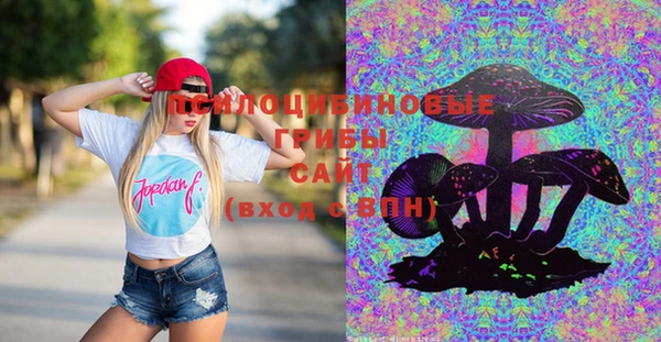стафф Елабуга
